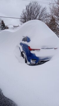 IMG_20240309_073941926.jpg IMG_20240309_073941926.jpg