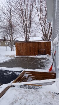 IMG_20240309_083639786.jpg IMG_20240309_083639786.jpg