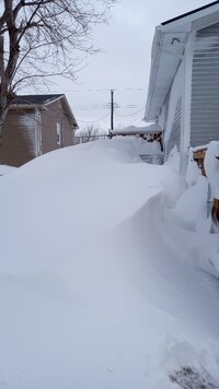 IMG_20240309_083700170.jpg IMG_20240309_083700170.jpg