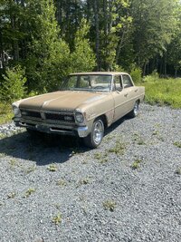 IMG_3565.jpeg