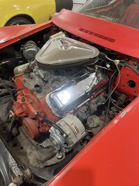 IMG_4366.jpeg