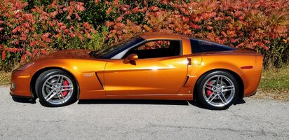 z062~2.jpg