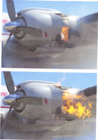 Connie 2007 7 - 10.JPG