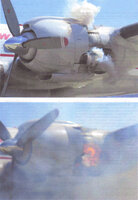 Connie  2007  7  10.JPG