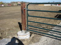 2016-11-10 01.48.16.jpg