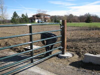 2016-11-10 01.48.28.jpg