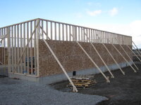 2016-11-16 03.05.05.jpg