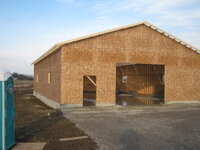 2016-11-29 04.21.43.jpg