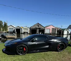 E-Ray at Boathouse.webp