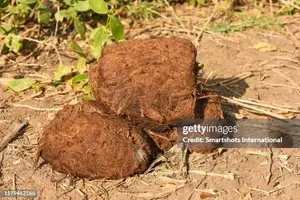 gettyimages-1179442166-612x612.webp gettyimages-1179442166-612x612.webp