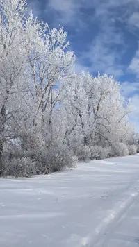 PXL_20260105_195852124 (1).webp