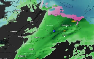 Screenshot 2026-04-05 at 3.48.44 PM.webp