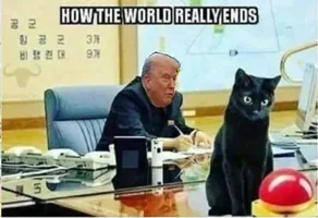 catnuke.webp