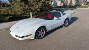 VETTE 2.webp