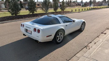 VETTE 4.webp