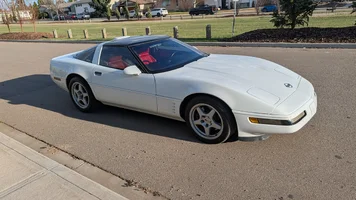 VETTE 3.webp