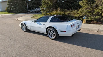 VETTE 5.webp