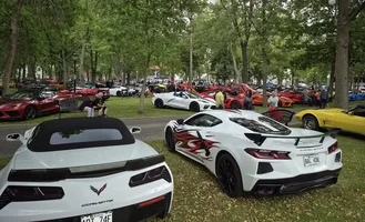 1784398719730.webp
