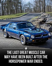 1784591397460.webp