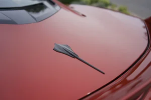 Stingray.webp