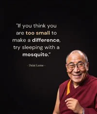 1790268841289.webp