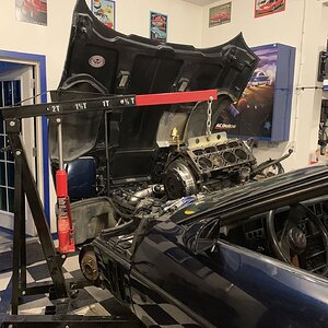 iOS Image - 812170938.jpg