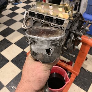 iOS Image - 3977088039.jpg