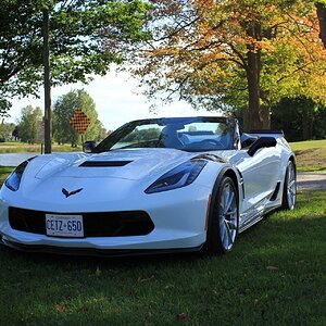 iOS Image - 1349541675.jpg