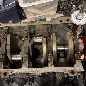 iOS Image - 4258575312.jpg