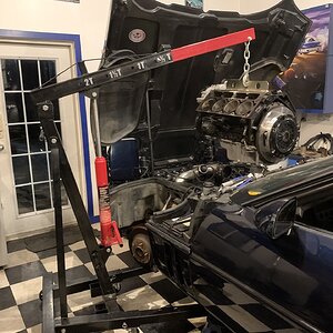 iOS Image - 3101889190.jpg