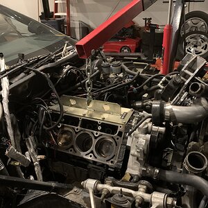 iOS Image - 2135318045.jpg