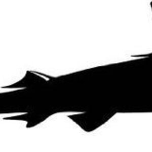 879fd36b82fc3f9b49a7516689601cbd--shark-bathroom-fish-silhouette.jpg