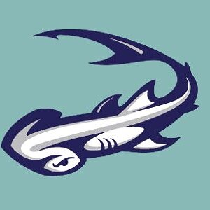 hammerhead-shark-logo.jpg