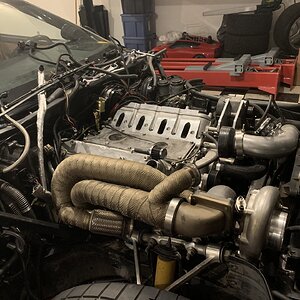 iOS Image - 1598906624.jpg