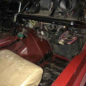 iOS Image - 1886694369.jpg