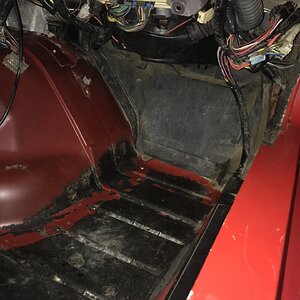 iOS Image - 3163862462.jpg