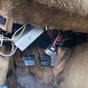 iOS Image - 3557519326.jpg