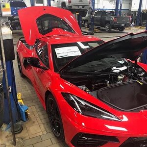 iOS Image - 642022175.jpg