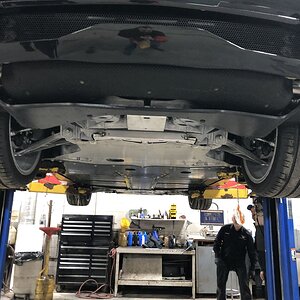 iOS Image - 1361997420.jpg