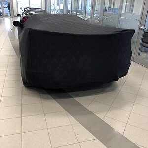 iOS Image - 3724331159.jpg