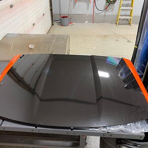 iOS Image - 457625099.jpg