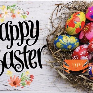 iOS Image - 2306851143.jpg