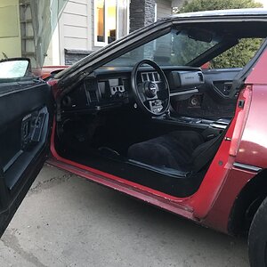 iOS Image - 2688936523.jpg