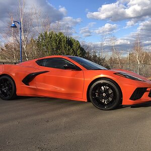 iOS Image - 752397802.jpg