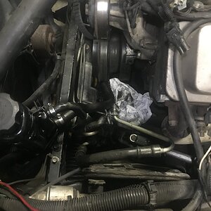 iOS Image - 1216565553.jpg