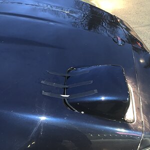 iOS Image - 3976688412.jpg