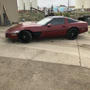 iOS Image - 2810505096.jpg