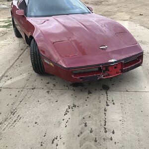 iOS Image - 355587795.jpg