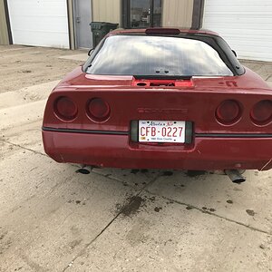 iOS Image - 235608650.jpg