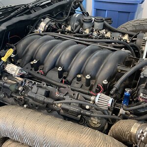 iOS Image - 2994591553.jpg